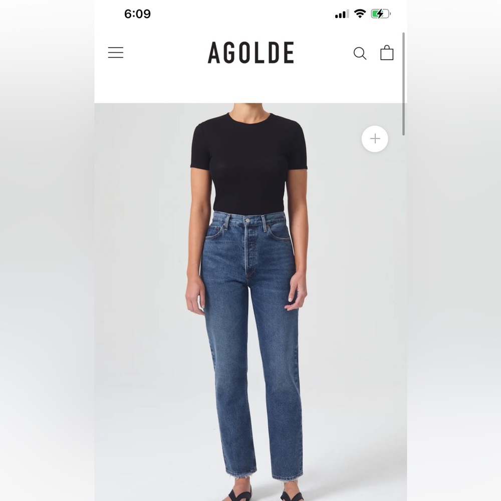 AGOLDE 90'S PINCH WAIST HIGH RISE STRAIGHT